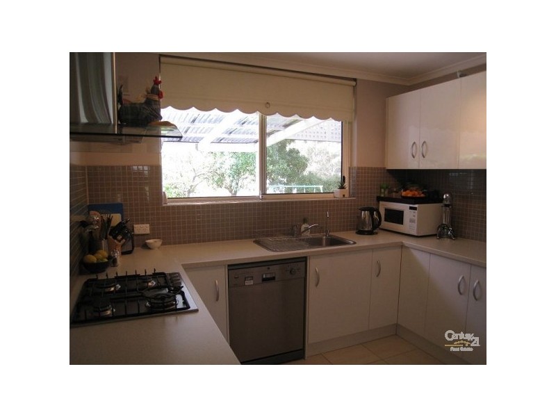 297 Hancock Road, Banksia Park SA 5091