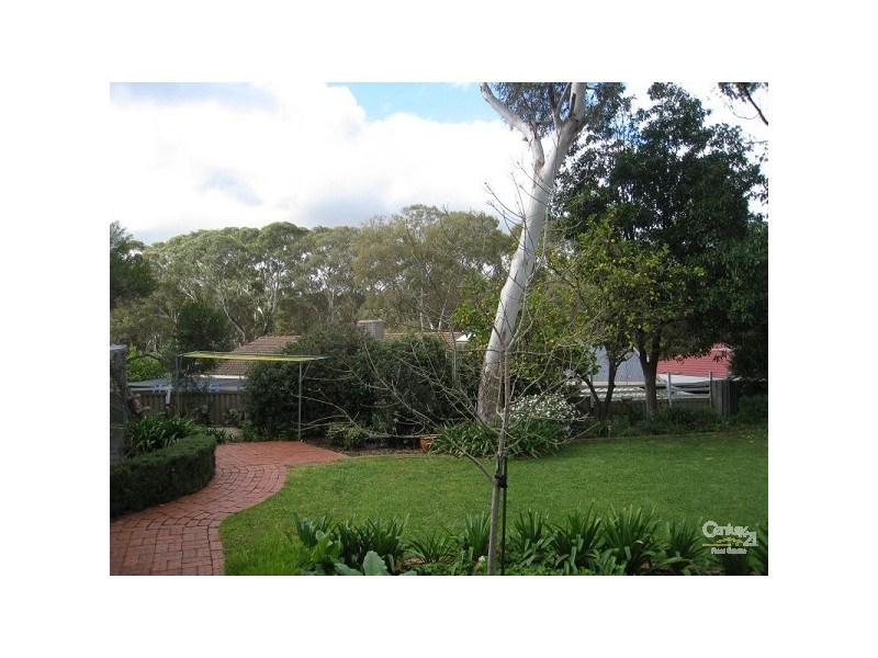 297 Hancock Road, Banksia Park SA 5091