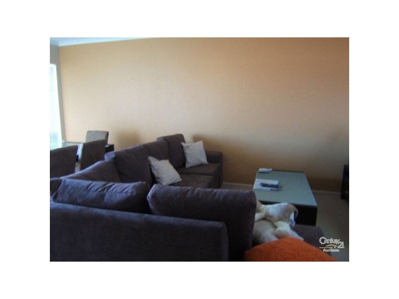 8/ 11 Edward Street, Glynde SA 5070