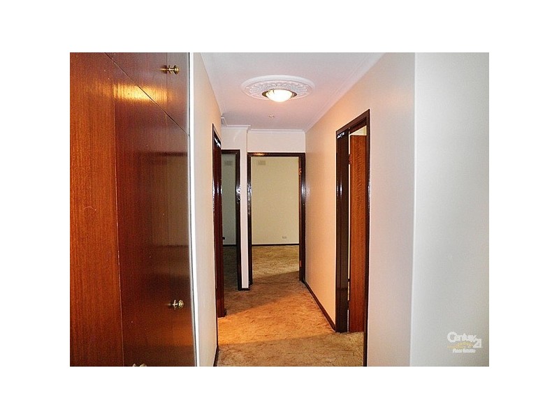 20 Botanic Grove, Campbelltown SA 5074