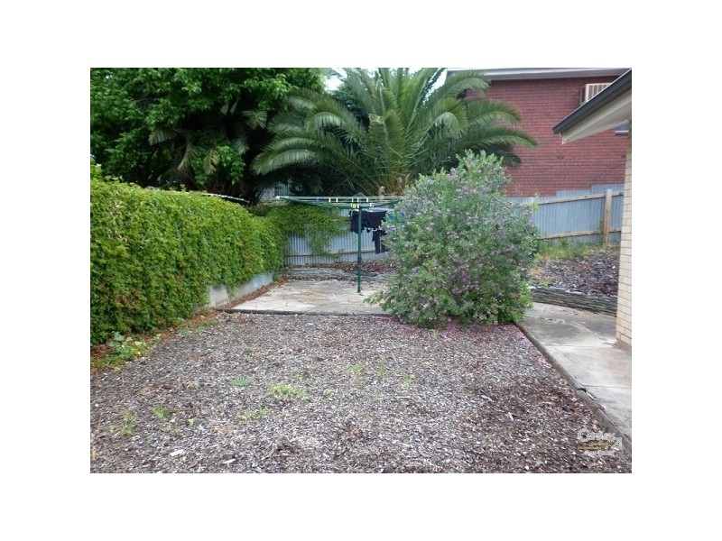 29 Haddington Street, Valley View SA 5093
