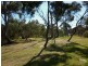 29 Haddington Street, Valley View SA 5093