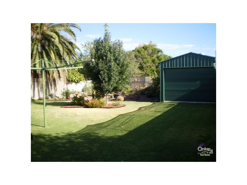 27 Livingstone Avenue, Prospect SA 5082