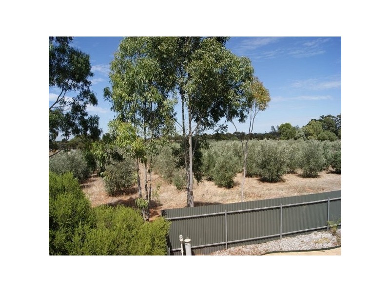 19 Wattle Terrace, Kudla SA 5115