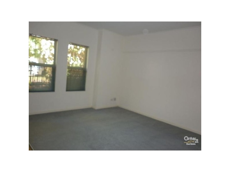 123 Conyngham Street, Frewville SA 5063