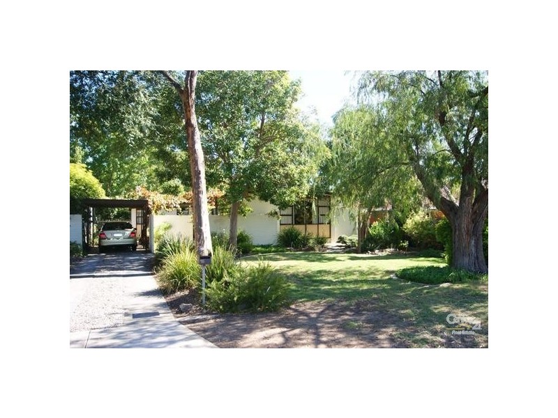 18 Norman Street, Paradise SA 5075