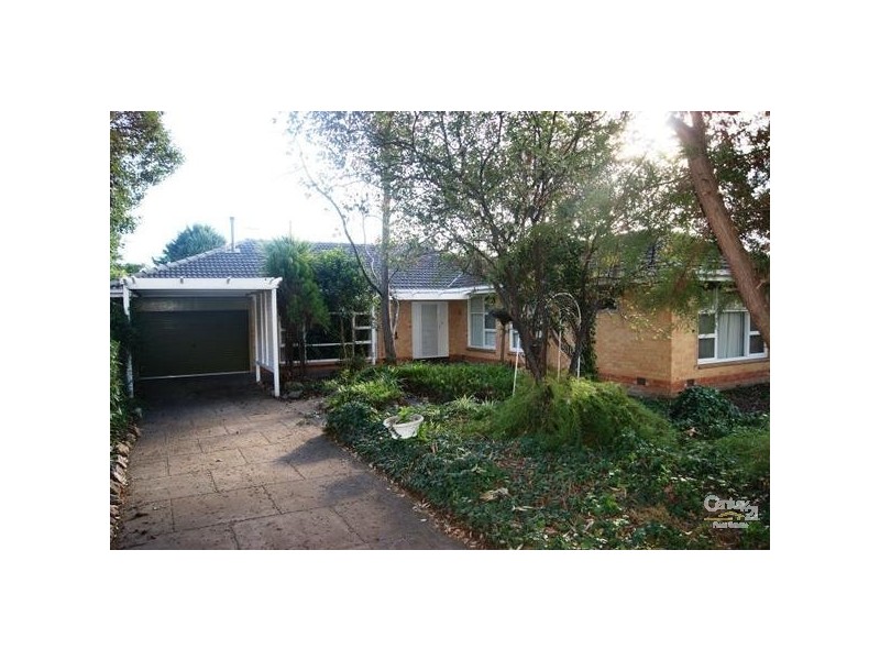 18 Primrose Avenue, Paradise SA 5075