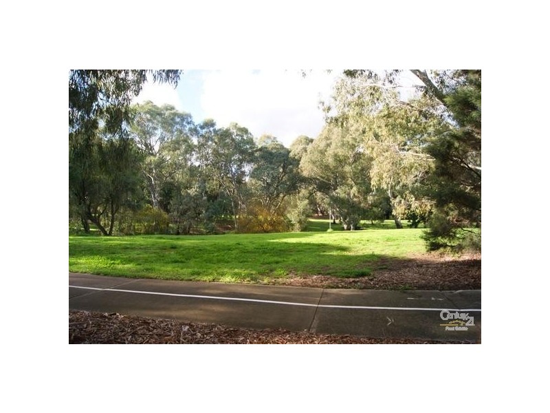 18 Primrose Avenue, Paradise SA 5075