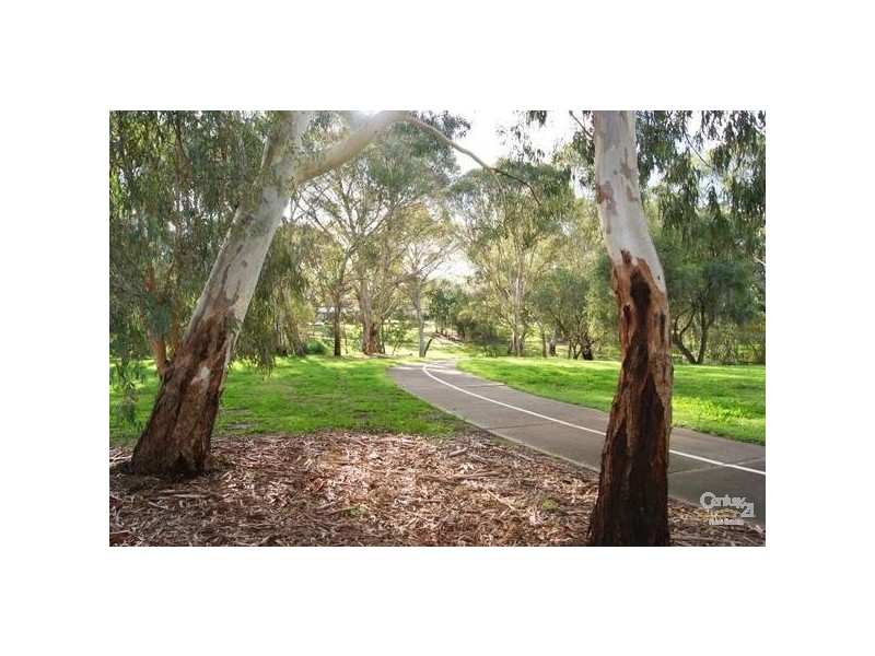 18 Primrose Avenue, Paradise SA 5075