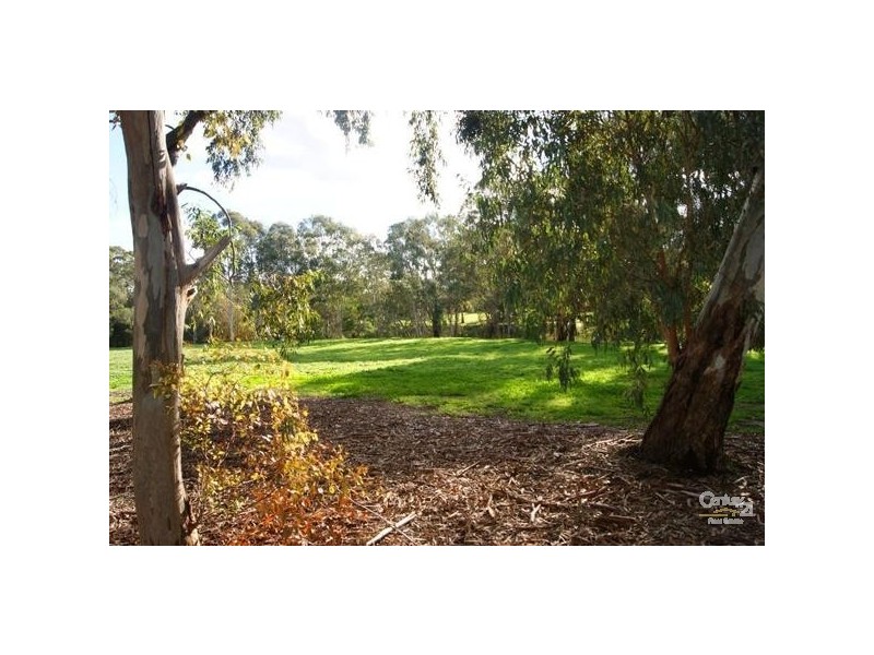 18 Primrose Avenue, Paradise SA 5075