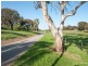 99a Halsey Road, Fulham SA 5024