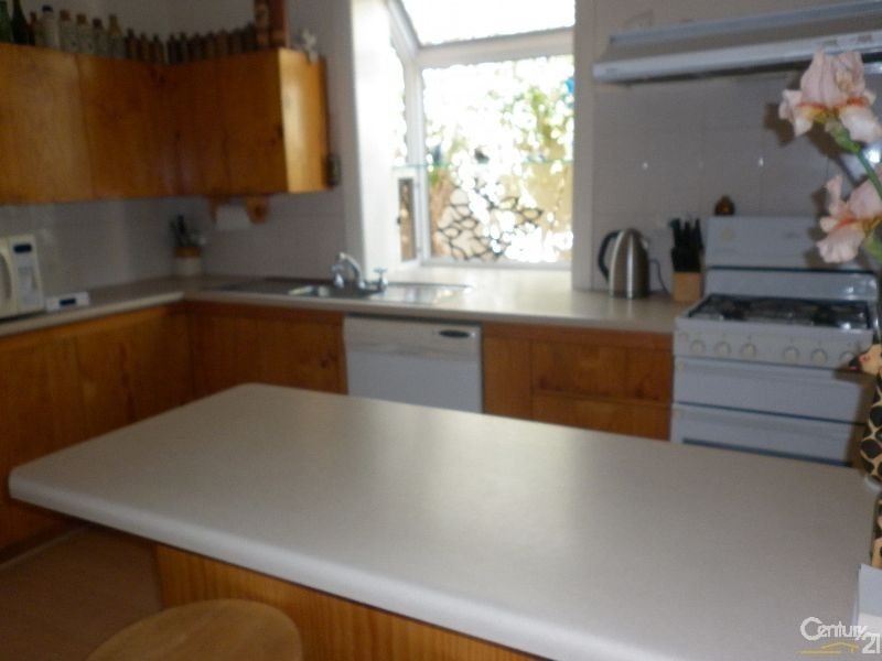 12 Halton Street, Enfield SA 5085