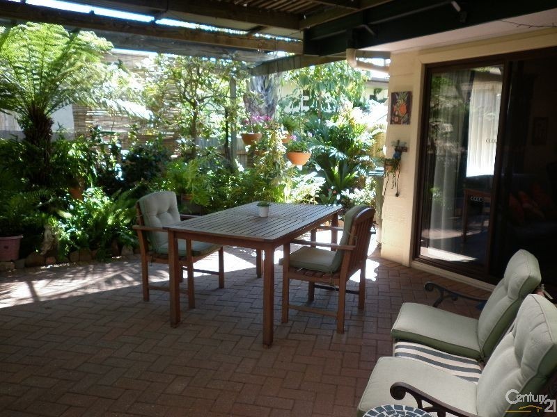 12 Halton Street, Enfield SA 5085