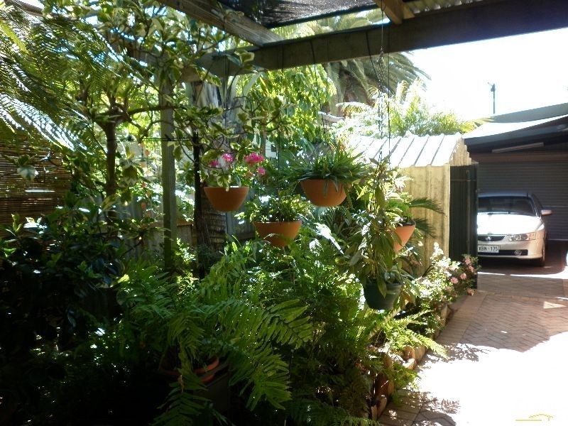 12 Halton Street, Enfield SA 5085