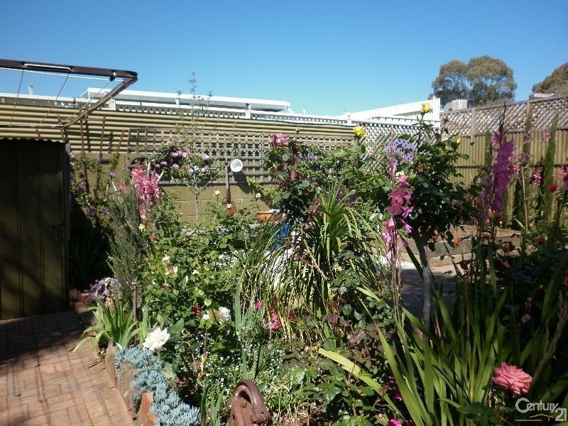 12 Halton Street, Enfield SA 5085