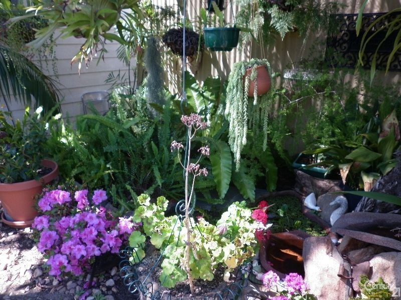 12 Halton Street, Enfield SA 5085