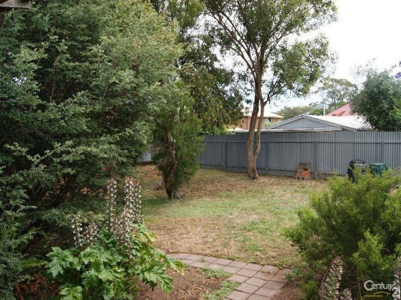 14 Foster Avenue, Paradise SA 5075