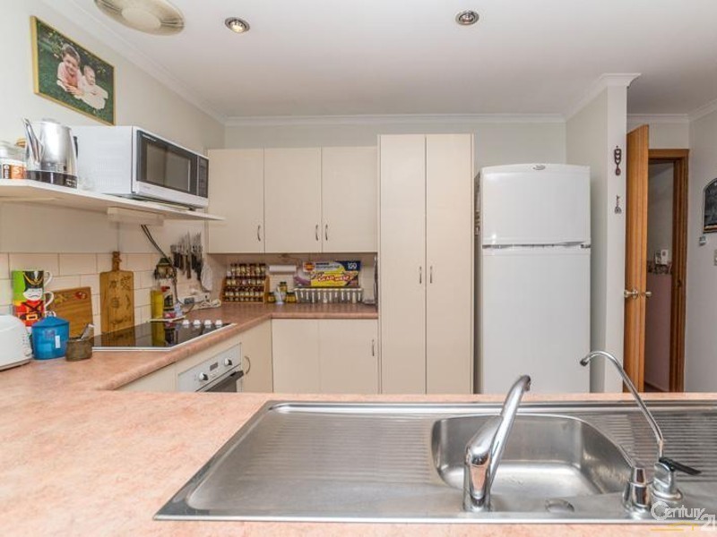 15 Winchester Avenue, Magill SA 5072