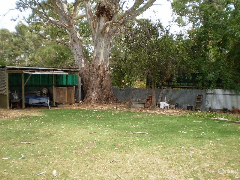 35 Birkinshaw Avenue, Tranmere SA 5073