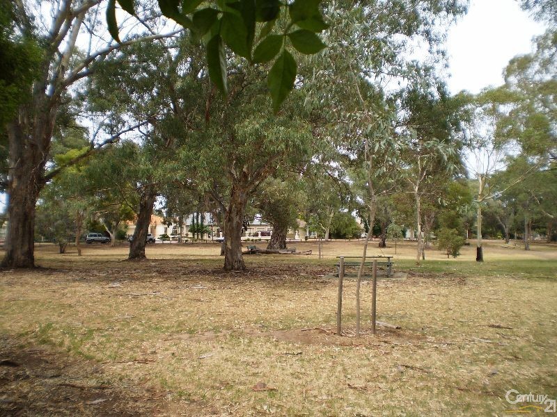 35 Birkinshaw Avenue, Tranmere SA 5073