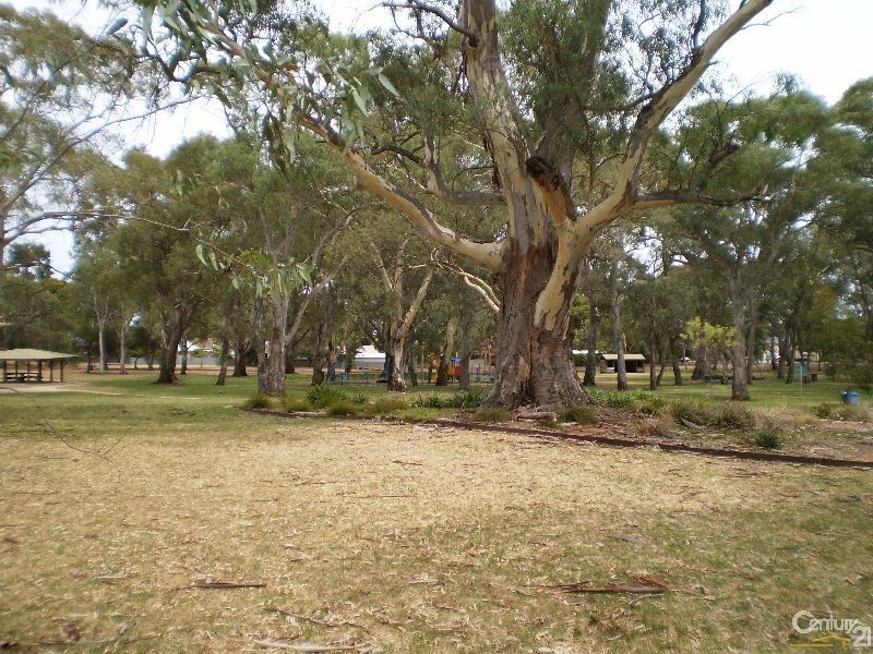 35 Birkinshaw Avenue, Tranmere SA 5073