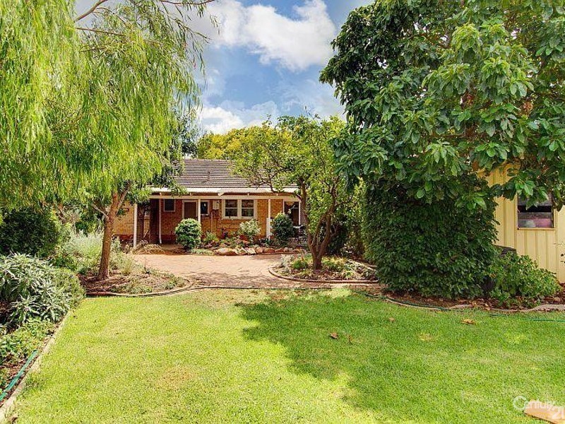 24 Clairville Road, Campbelltown SA 5074