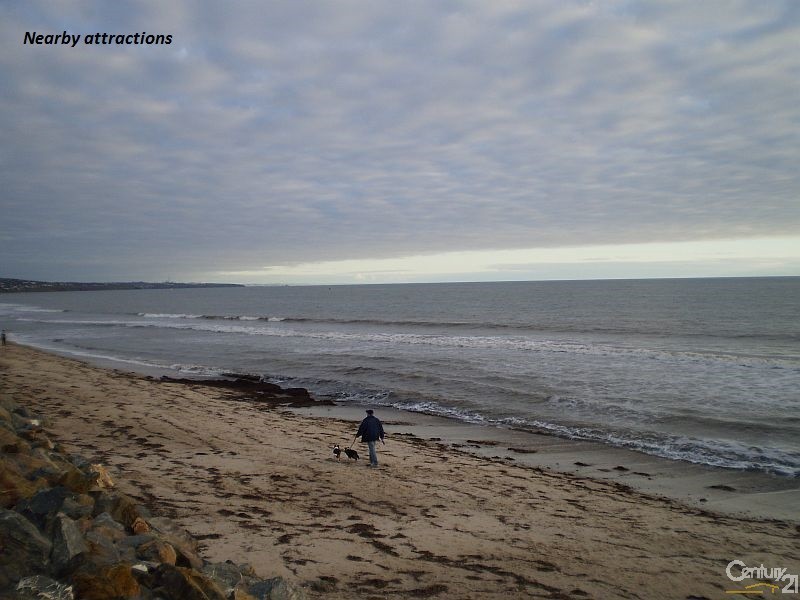 2/ 50 Walkers Road, Somerton Park SA 5044