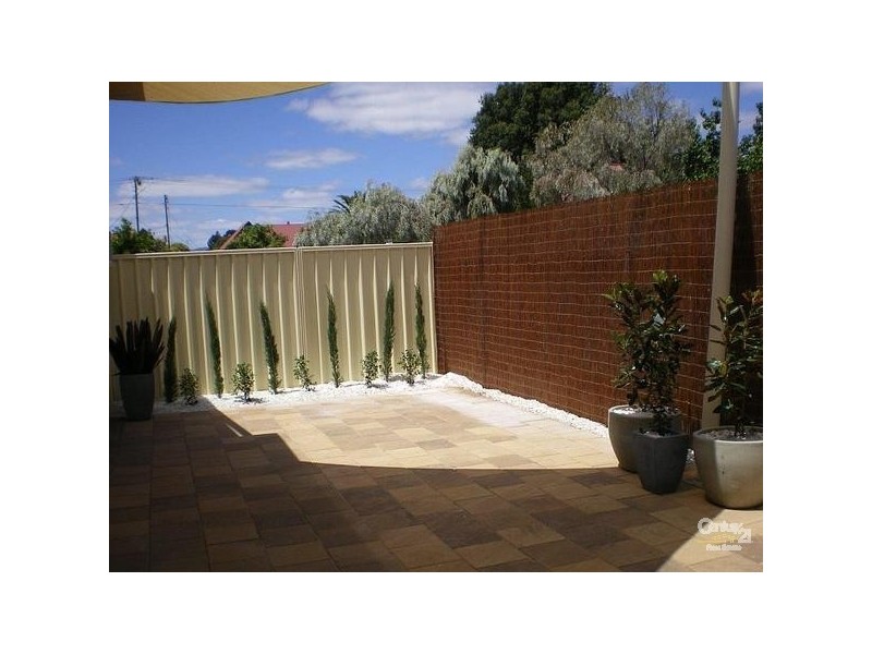 3 Selkirk Avenue, Black Forest SA 5035