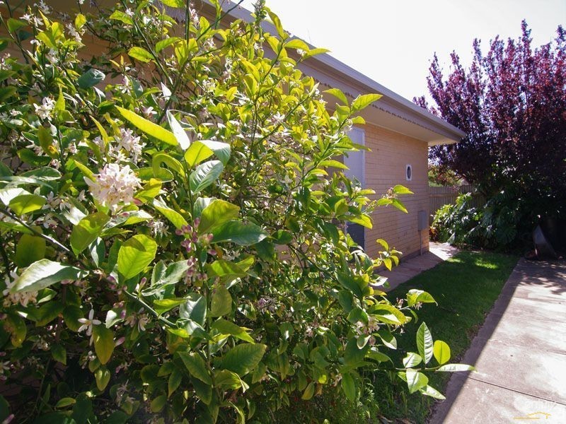 12/ 112 Gage Street, Firle SA 5070