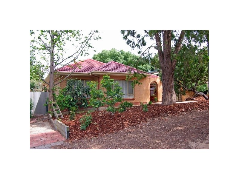 10 Tatiara Drive, Banksia Park SA 5091