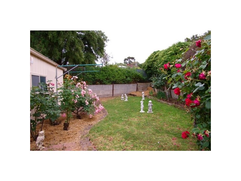 1 Tulip Street, Ridgehaven SA 5097