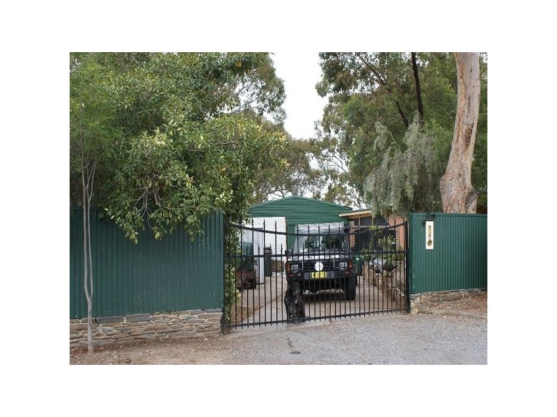 31 Canopus Ave, Hope Valley SA 5090