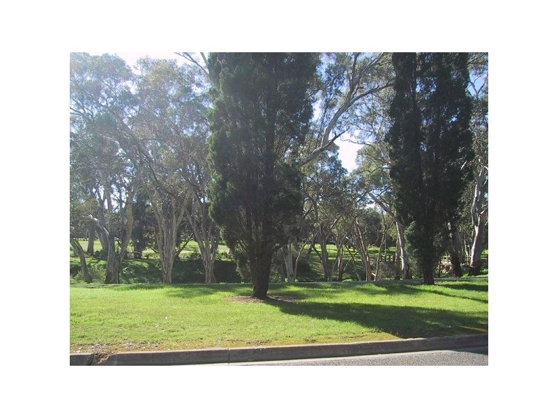 7 Stevens Drive, Ridgehaven SA 5097