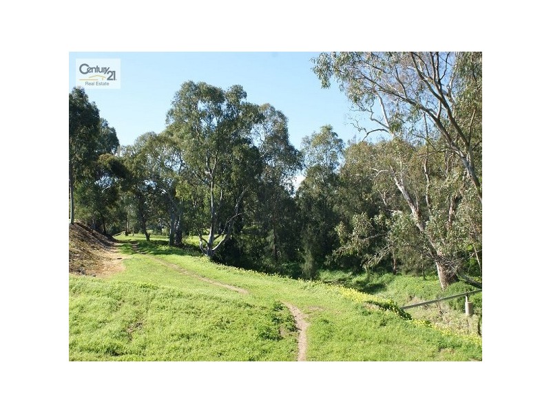10 Ruth Court, Modbury SA 5092