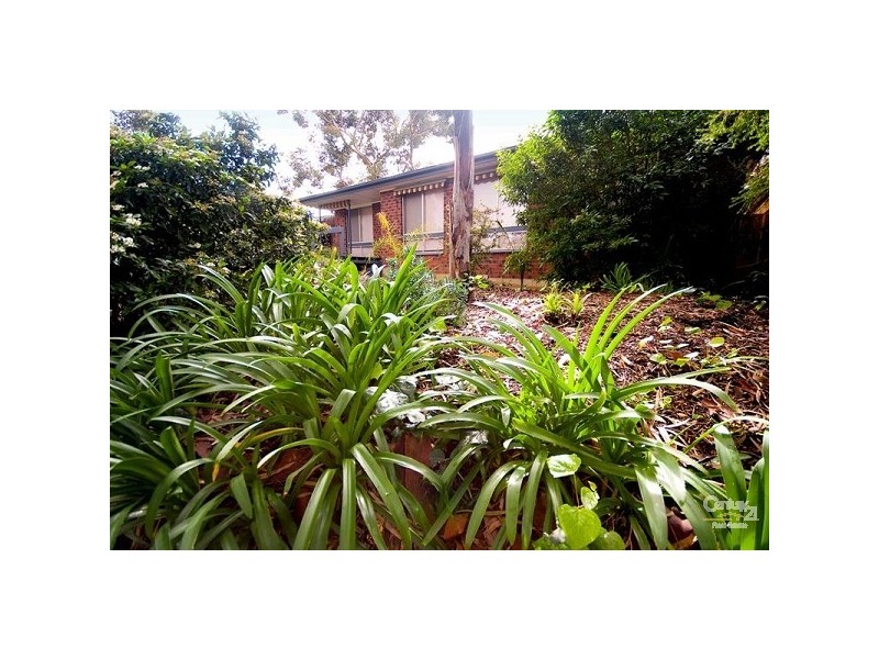 10 Gill Court, Hope Valley SA 5090