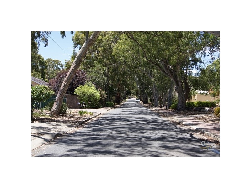 114 Barracks Rd, Hope Valley SA 5090