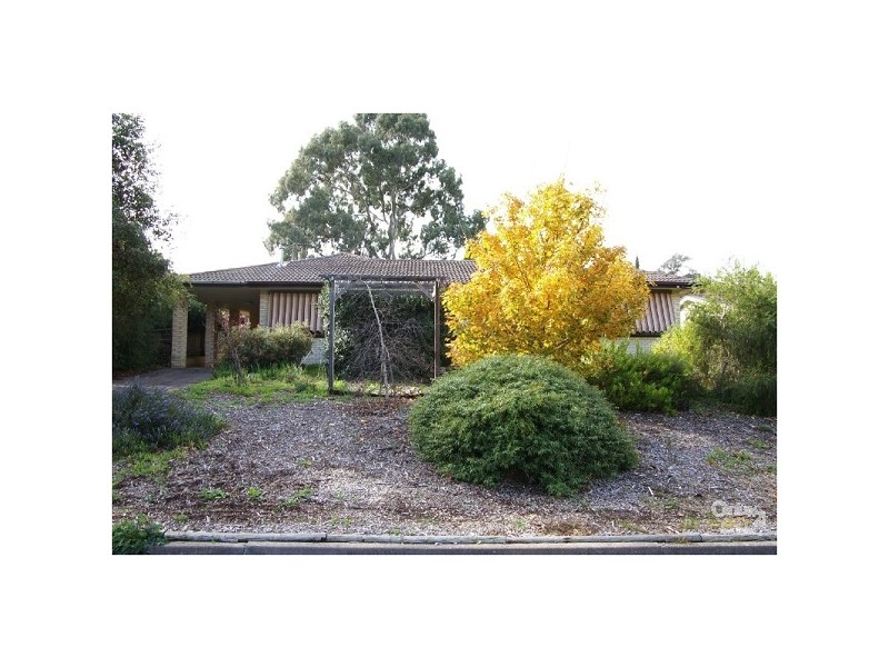 13 Grevillea Drive, Banksia Park SA 5091