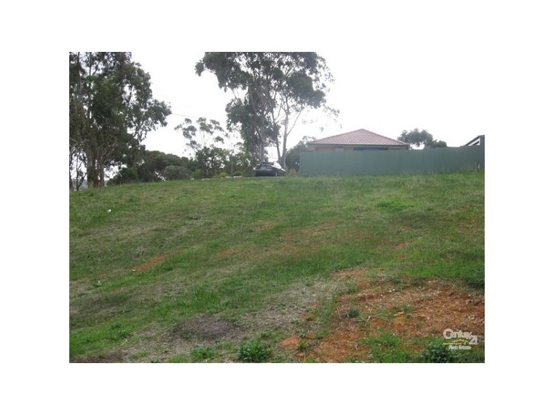Lot 1/64 Haines Road, Banksia Park SA 5091