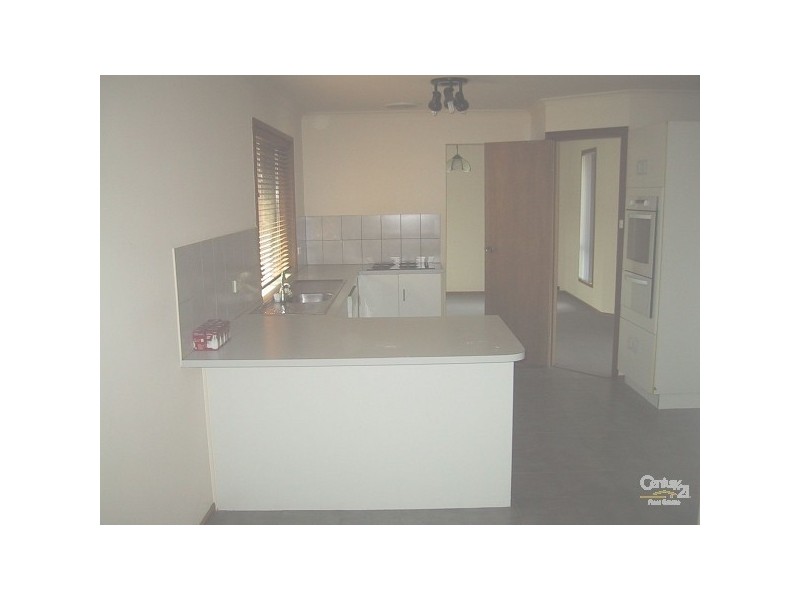 11 Egret Ave, Wynn Vale SA 5127