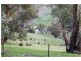 Lot 613 Mt Gawler Rd, Inglewood SA 5133