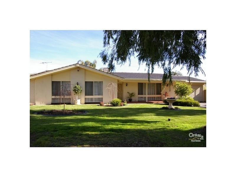 36 Baudin Avenue, Fairview Park SA 5126