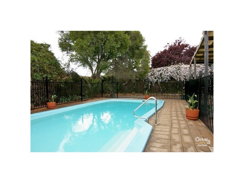 20 Brunel Drive, Modbury Heights SA 5092