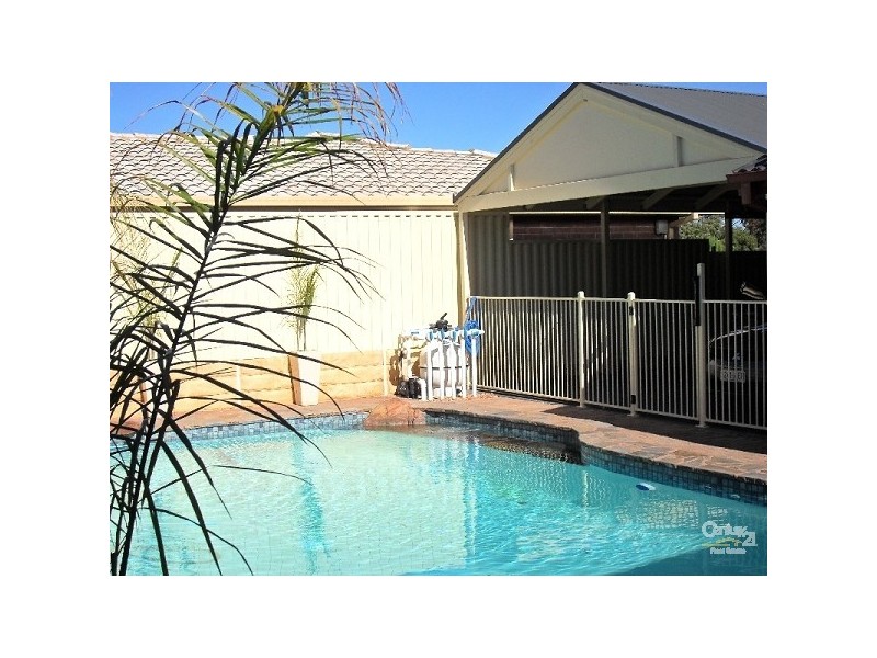 11 Pelsaert Avenue, Fairview Park SA 5126