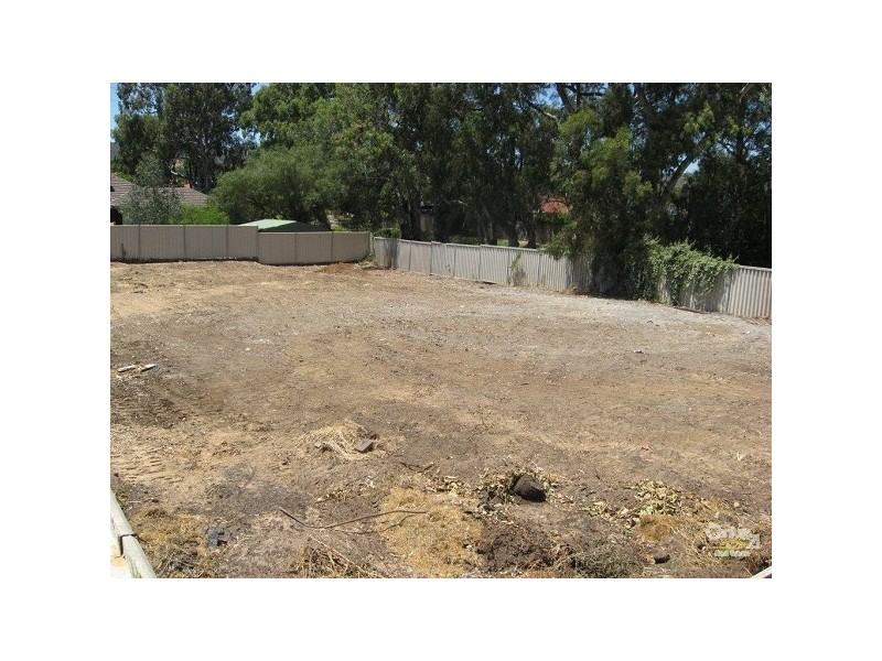 20 Tanya Street, Surrey Downs SA 5126