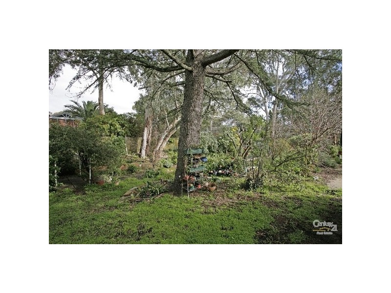 41a Elizabeth St, Banksia Park SA 5091