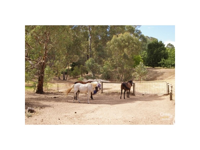 Lot 841 Pegasus Court, Yatala Vale SA 5126