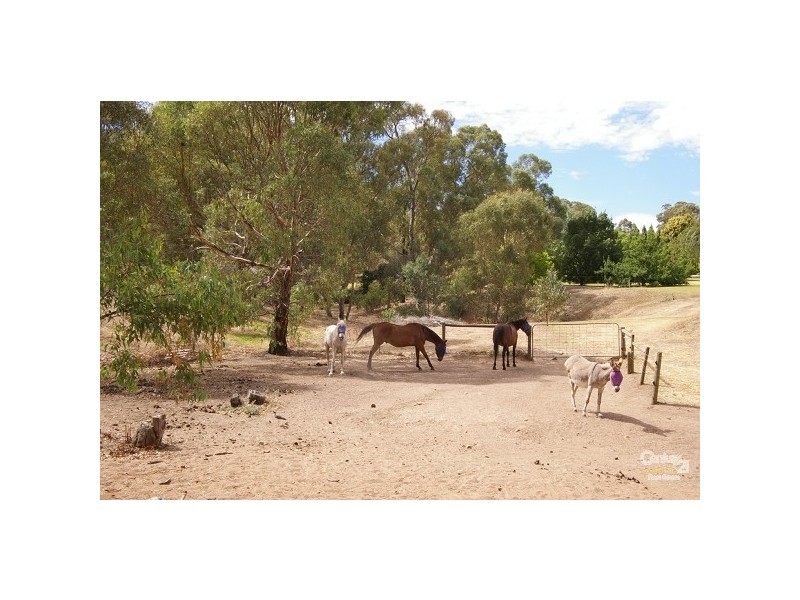 Lot 841 Pegasus Court, Yatala Vale SA 5126