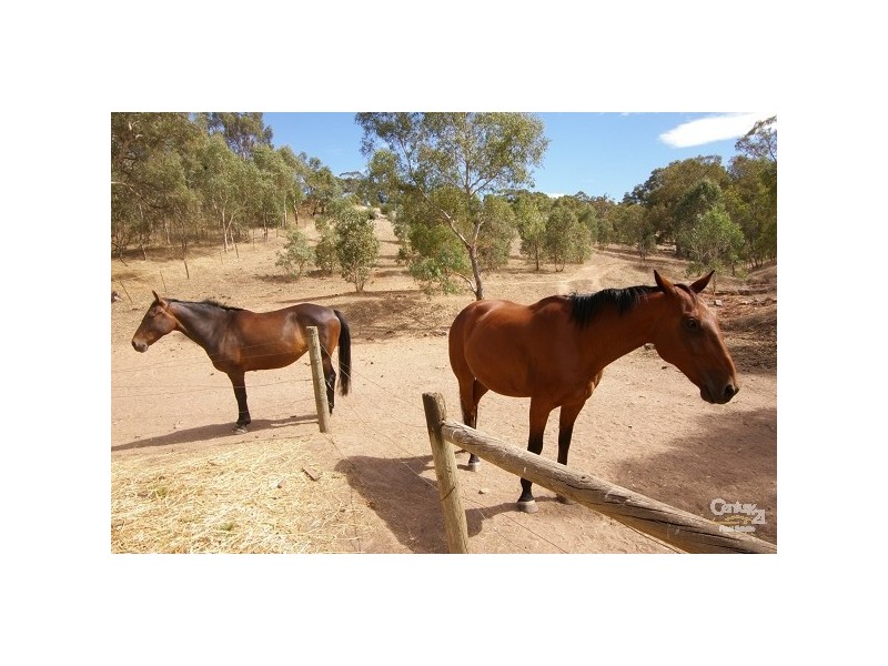 Lot 841 Pegasus Court, Yatala Vale SA 5126