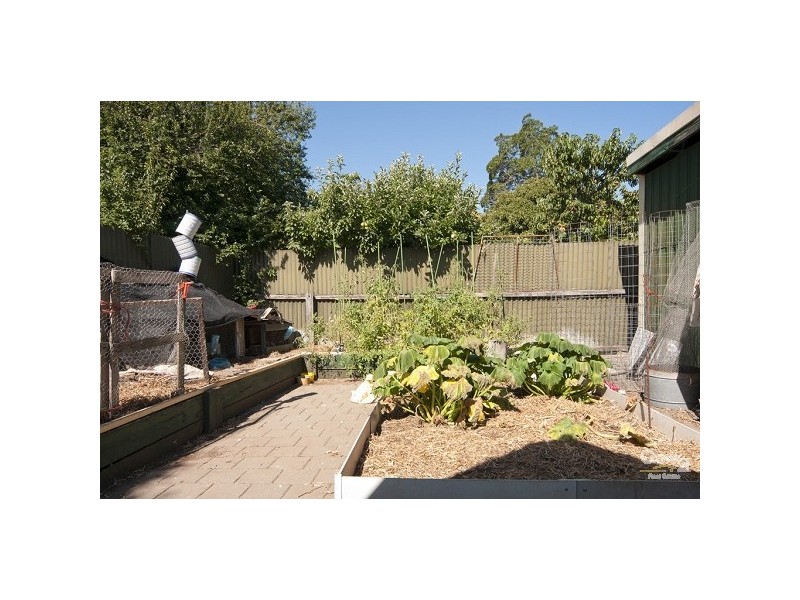 15 McBean Avenue, Holden Hill SA 5088