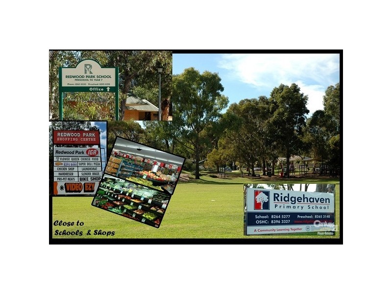 12 McEwin Avenue, Redwood Park SA 5097